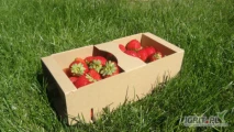 Kobiałki tekturowe szare na 1KG owoców - idealne do truskawki, borówki...
