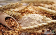 Sprzedamy 200 ton pszenicy paszowej o uśrednionych parametrach:Wilgotność: 12,3%Białko: 10,5-12,0%Gluten: 22,0-23,1%Gęstość:...