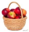 Zatrudnię 4-6 osób do zbioru jabłek z własnym dojazdem lub z zakwaterowaniem.
