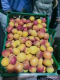 Предлагаем експортные поставки абрикос,персик,нектарин из Турции.Всегда в...
