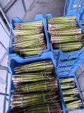Zakupie szparagi zielone od 500kg w górę zainteresowanych zapraszam 
