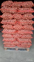 Sprzedam ziemniaki drobne, wielkość sadzeniaki od 35-55mm, odmiany:
