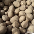 Sprzedam 24 tony ziemniaków jadalnych odmiana Wineta kaliber od 50 mm, w big bagu, delikatnie puszczają kiełki. Więcej informacji...