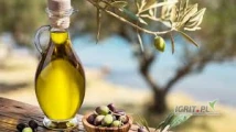 OTTIMO FOOD SRL ITALIA ma do zaoferowania stałą dostawę do polski olejów extravergine olej z oliwy olej blended zapraszamy do ...