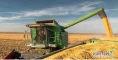 Firma IMA Polska SA zakupi kukurydzę suchą oraz mokrą. Możliwy transport po naszej stronie.  Przyjęcie bez kolejek. Lokalizacja:...