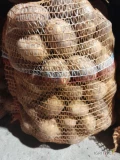 Witam posiadam na sprzedaż 220 worków Denara ziemniaki dziś kopane bardzo ładne duże nie pognite , kaliber 40 plus. Cena 20 zł za...