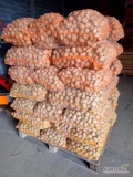 Sprzedam ziemniaki drobne odmiana LORD około 1400 kg  Więcej informacji pod numerem 500 498 767