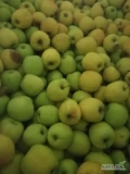 Sprzedam jabłka z Ka odmiany jonagored, Rubinstar, Dekosta oraz Golden na gotowo lub do sortowanie platnosc od r e k i! 