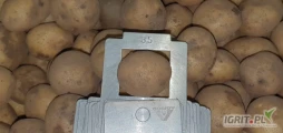 Ziemniaki 40-50 Satina pakowane w BIGBAG - certyfikat ekologiczny
