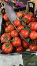 Sprzedam pomidora gronowego 60+. Kraj pochodzenia Holandia. 