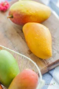 Puree z mango, odmiany ALPHONSO, TOTAPURI i TOMMY.
