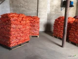 Kupimy cebulę w workach 15 kg. Ilości tirowe.