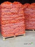 Kupimy cebulę w workach 15 kg lub w Big-Bagach. Interesuje nas jakość marketowa. Kaliber 5+. Minimalna ilość 1 tir -22 tony. 