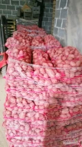 Sprzedam 400 worków 15kg ziemniaków czerwonych esmee. 45mm+. Przygotowane na paletach, gotowe do odbioru. 22zl worek, okolice Błaszek