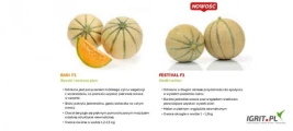 Sprzedam nasiona melona firmy SAKATA(j.500n).Odmiany: Cantalupe( BARI F1, FESTIVAL F1,), Charentais ( MELGIC F1,MELIXIS F1), Galia( AIKIDO...