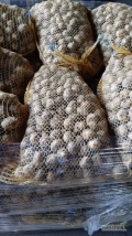 Sprzedam drobne ziemniaki (lulka) bez kamieni, zgniłych, przesortowane w workach po 15 kg. Ok 700 kg 