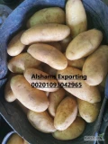   We are ALshams for general import and export .

