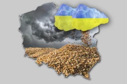 Europarlament przegłosował bezcłowy import z Ukrainy