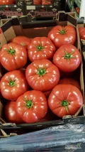 Sprzedam pomidory malinowe Polskie cena 55 zł oraz pomidory czerwone Polskie cena 38 zł