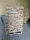 Sprzedam ziemniaki żółte kaliber +50 worek 15kg wiązany. Więcej informacji pod numerem 730860040 