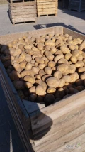 Sprzedam ziemniaki jadalne odmiana Belmondo, Queen Anna kaliber 45+opakowanie big bag towar z jasnej ziemi po szczotkarce 