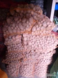 Sprzedam ziemniaki paszowe spakowane w workach po 15 kg około 100 worków 