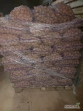 Na sprzedaż ziemniaki kaliber 25-55 
