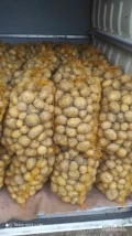 Sprzedam młode ziemniaki odmiana Rivera 114 worków 15 kg i 12 worków lulki 15 kg. Cena do uzgodnienia.