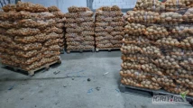 Ziemniaki GALA i LILI worek 15 na palecie ilości tirowe i busowe z jasnej ziemi