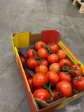 Witam do sprzedania 10t pomidora na gałązce
