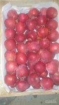 Sprzedam jabłka Red Princ Selekt. Średni rozmiar (70-85). Twardość średnio 6,8-7,5 kg/cm2. Nie woskowane.