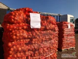 Kupimy cebulę w workach lub big bagach. Interesują nas ilości tirowe.Towar eksportujemy na Ukrainę. Zdjęcia z wczorajszego załadunku...