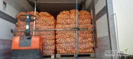 Kupie cebule żolta kal.4,5+  opakowanie worek 15kg,  odbieram własnym transportem płatności przy załadunku,  cała Polska 