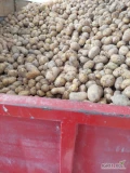 Sprzedam ziemniaki Catania w workach 15 kg po sortowniku.  Dzisiaj kopane. Do sprzedania 2 tony. Mogę dowieźć. Cena 2zł.
