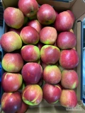 Sprzedam Jabłko Ligol z KA przygotowane w dowolne opakowanie lub sprzedam na wagę w skrzyni