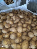 Sprzedam 6 ton ziemniaka zapakowanego w big bagu lub worek 10- 15 kg. Towar grubego kalibru. Zainteresowanych zapraszam do kontaktu...