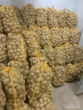 Sprzedam 700 worków 15 kg ziemniaków jadalnych 45+ SORAYA, ładne zdrowe z jasnej ziemi.