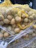 Sprzedam ziemniaki gala 45+ opakowanie worek 15kg ilości tirowe i mniejsze możliwość transportu stała współpraca 