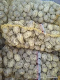 Sprzedam ziemniaki żółte Riviera, Denar ilości około 300-700 worków dziennie.