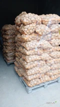 Sprzedam ziemniaki jadalne odmiany Jurek gotowe 250 worków 