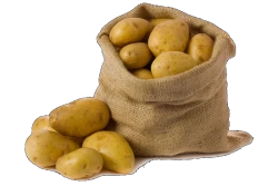 Ziemniaki oznakowane