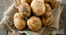 Sprzedam ziemniaki jadalne odmiany Vineta i Bellarosa pakowane po 15kg. 