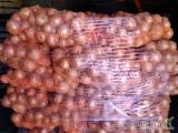 Sprzedam cebulę fazerowaną jasna łuska pakowana po 10 kg