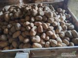 Mam do sprzedania ziemniaki paszowe ok 1500 kg.Ładne i co najważniejsze nie są zgnite.
