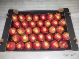 Sprzedam jabłka  I LOVE YOU w rozmiarze 7-7,5 na odmianach: Rubinstar, Prince, Supra