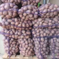 Witam. Sprzedam ziemniaki jadalne Bellarosa kal 4+ kopane w worki 15 kg. Możliwość ukopania tira po wcześniejszym uzgodnieniu jak i...