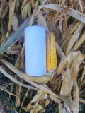 Sprzedam mokrą kukurydzę różnych odmian Pionier, wilgotność 19-25 %
