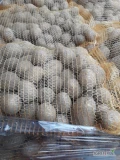 Ziemniaki Gala z chłodni szczotkowane w worku szytym 2,5kg 5,10,15kg.