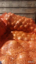 Sprzedam cebule kal.45-70 towar pakowany w worki szyte 15kg, cebula  fazerowana