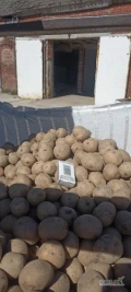 Sprzedam ziemniaki odmiany Gala opakowanie big bag kaliber 30-40